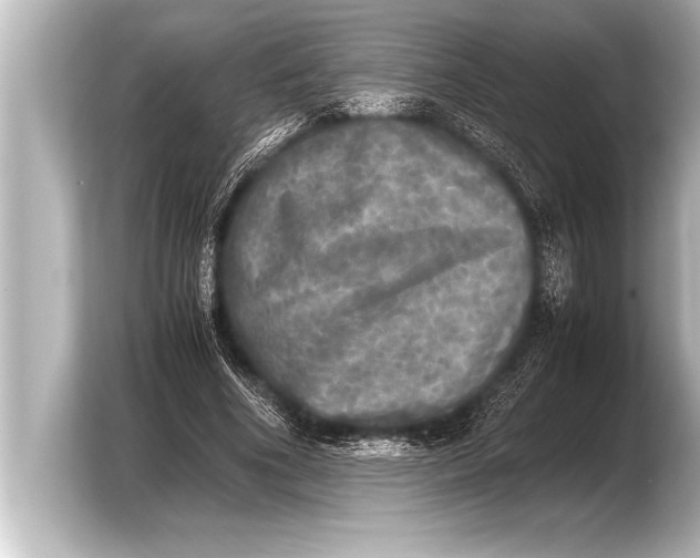 X0000103960586200810031206