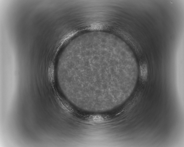 X0000103960588200810031206