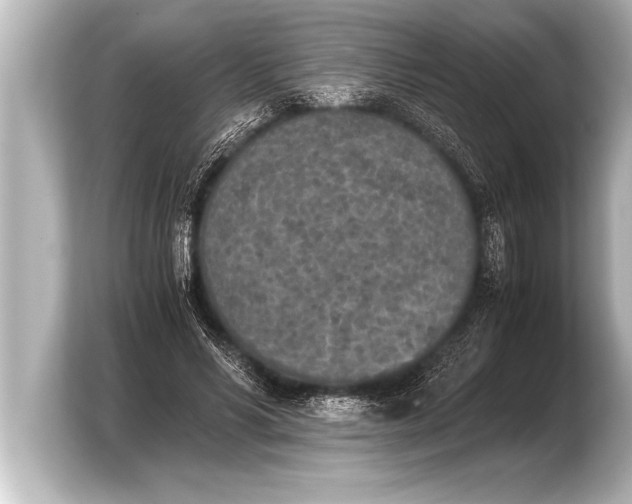 X0000103960590200810031206