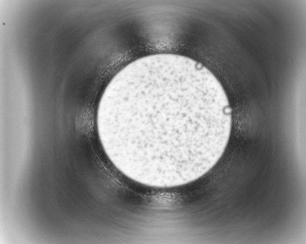 X0000103960593200810031206