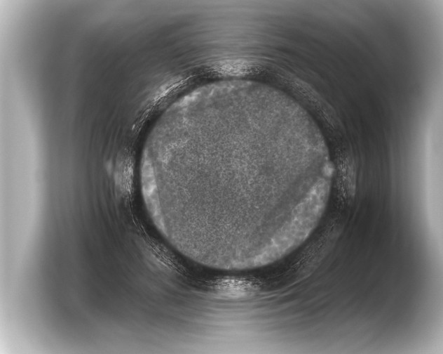 X0000103960596200810031206