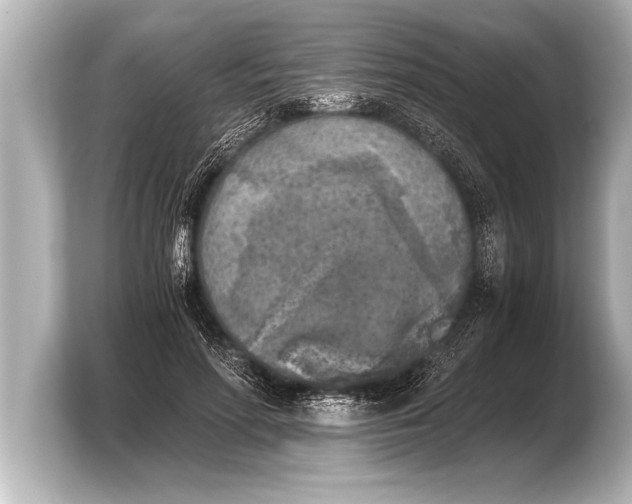X0000103960598200810031206