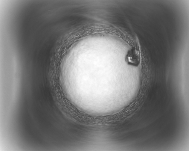 X0000103960599200810031206