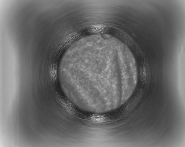 X0000103960602200810031206