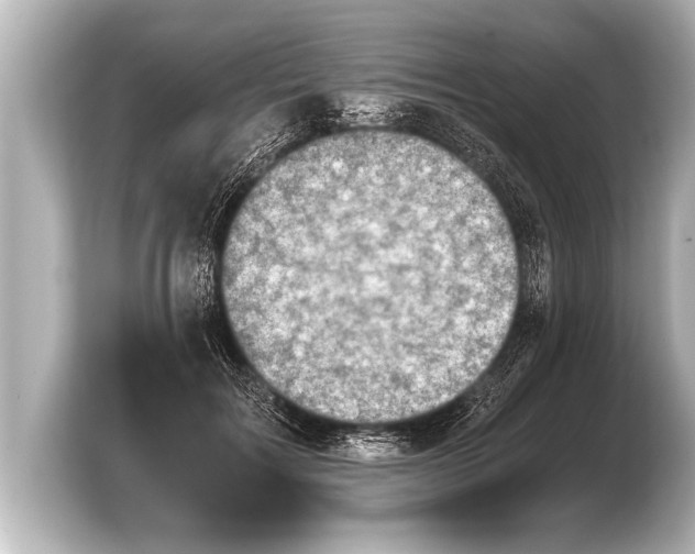 X0000103960603200810031206