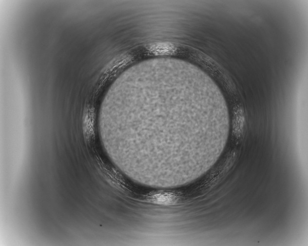 X0000103960604200810031205