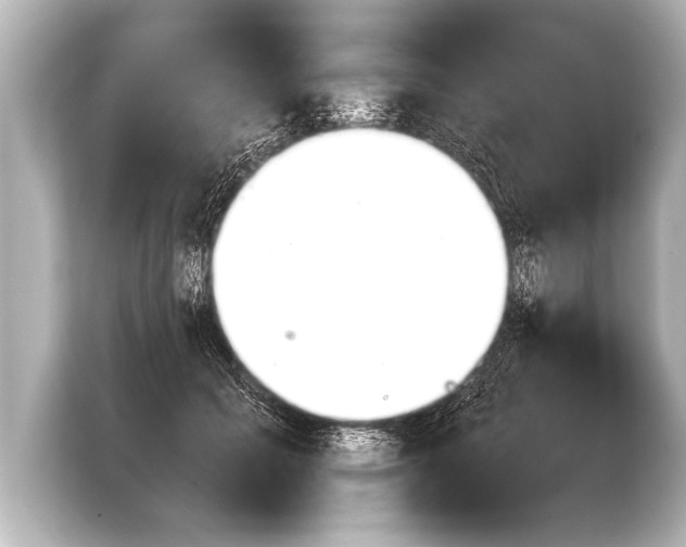 X0000103960605200810031205
