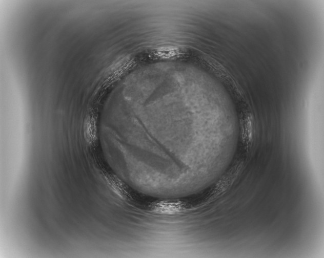 X0000103960606200810031205
