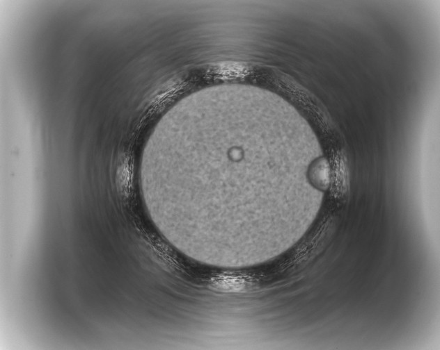 X0000103960608200810031205