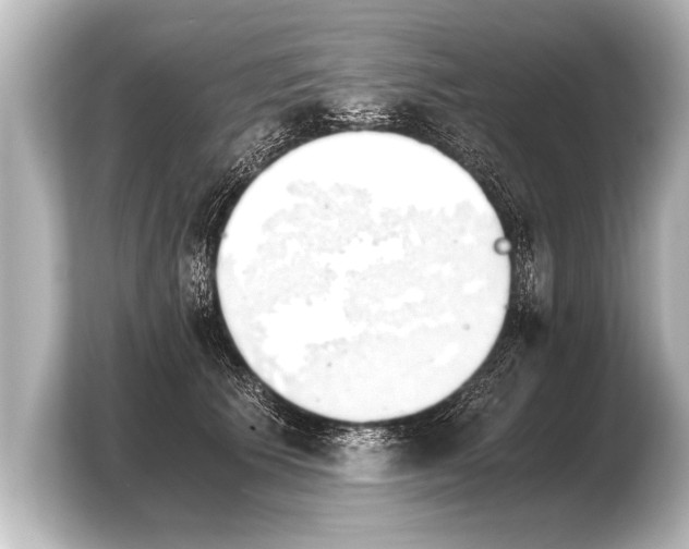 X0000103960609200810031205