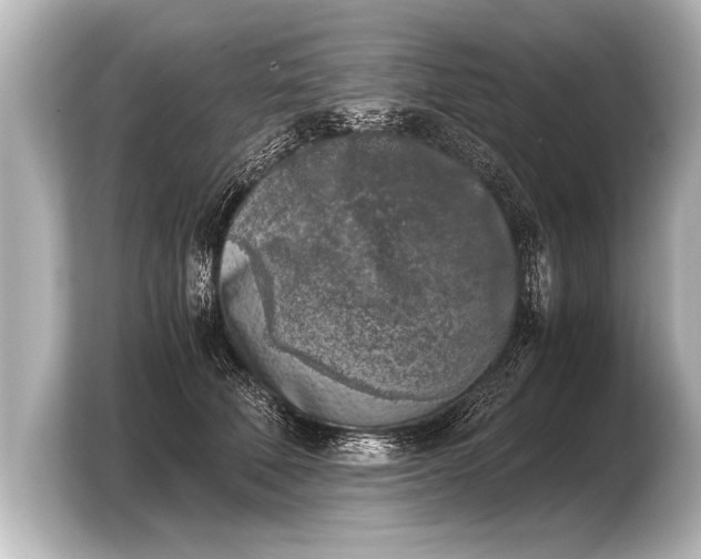 X0000103960610200810031205