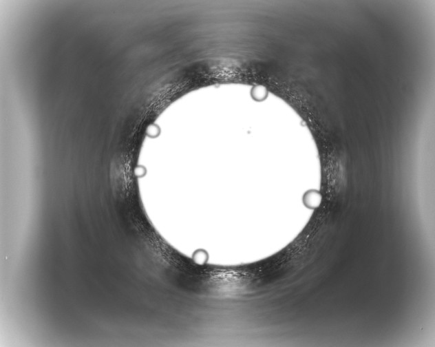 X0000103960611200810031205
