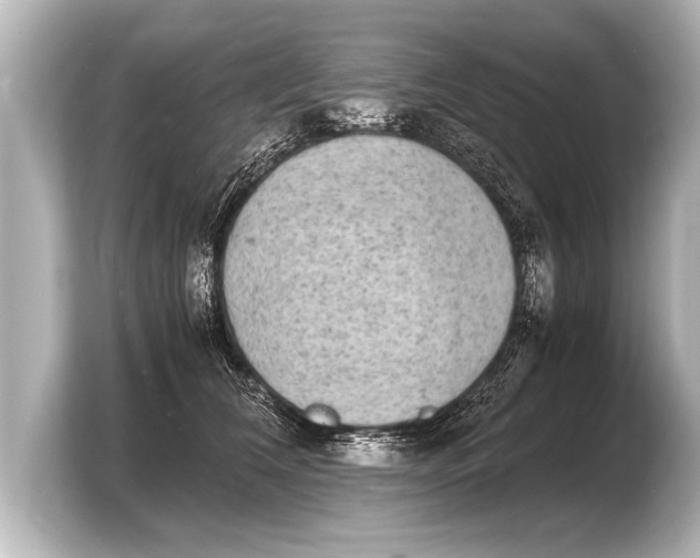 X0000103960612200810031205