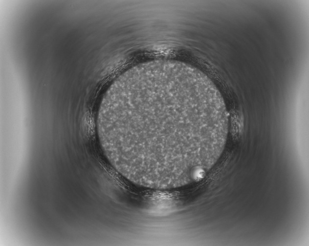 X0000103960613200810031205
