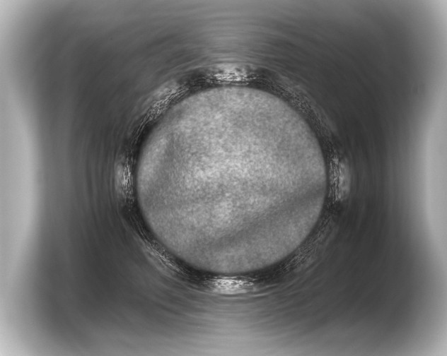 X0000103960614200810031205