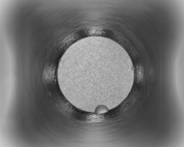 X0000103960619200810031205
