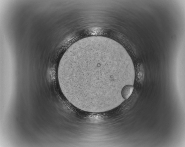 X0000103960620200810031205