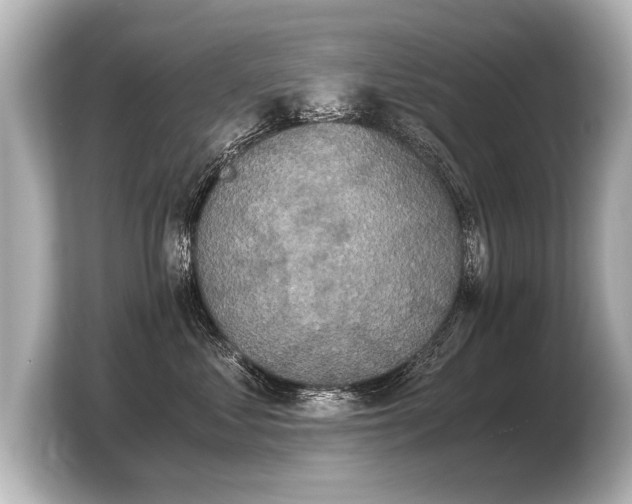 X0000103960621200810031205