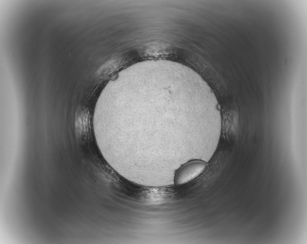 X0000103960623200810031205