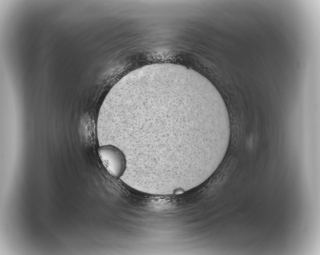 X0000103960624200810031205