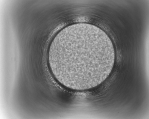 X0000103960625200810031205
