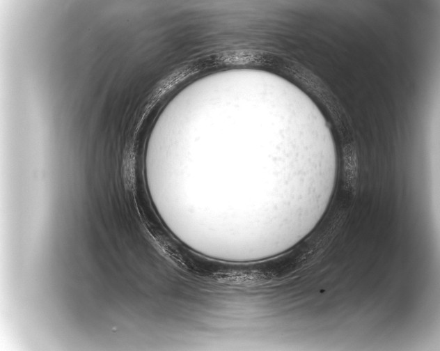X0000103960626200810031205
