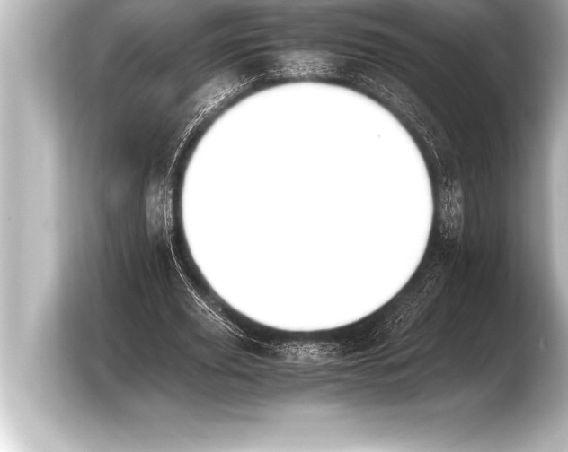 X0000103960629200810031205