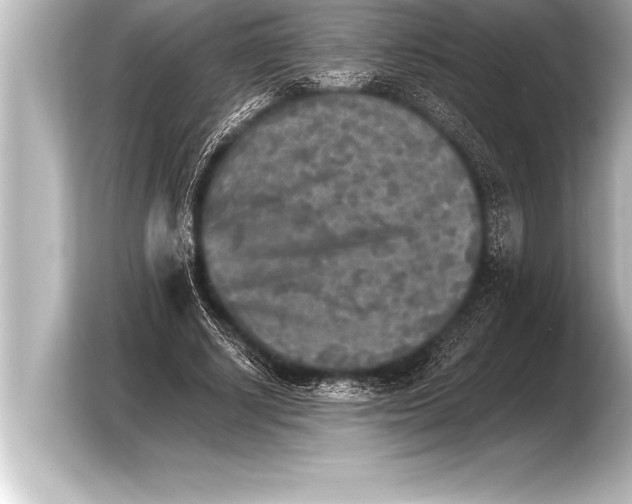 X0000103960634200810031205