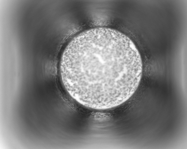 X0000103960635200810031205