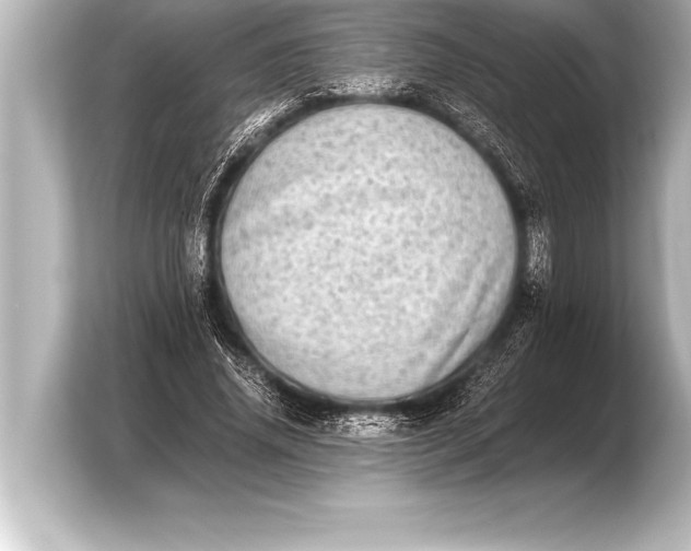 X0000103960636200810031205
