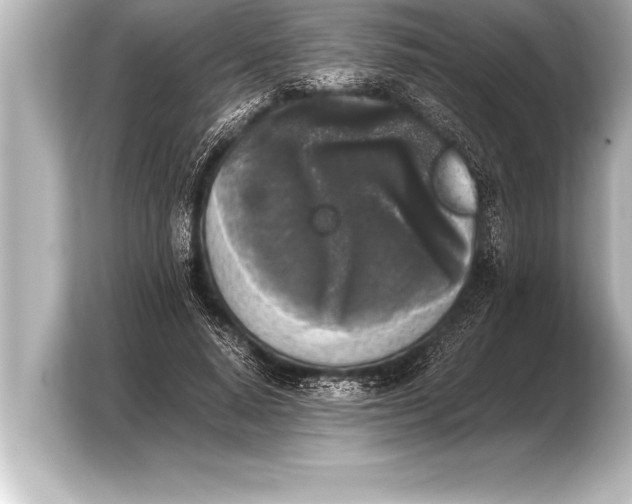 X0000103960640200810031205