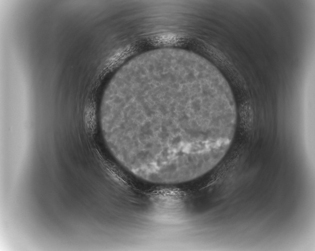 X0000103960642200810031205