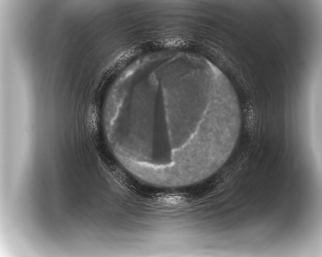 X0000103960643200810031205