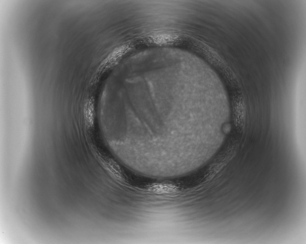 X0000103960644200810031205