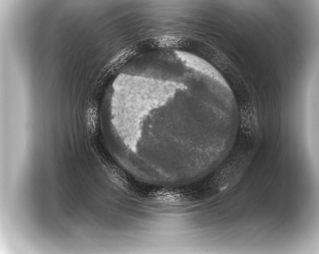X0000103960648200810031205