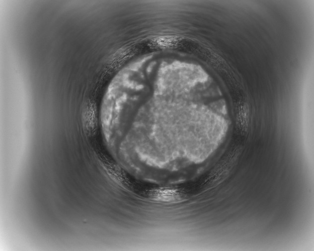 X0000103960651200810031205