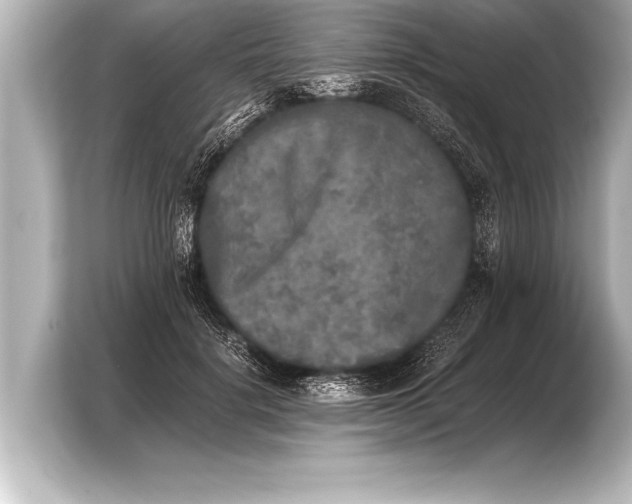 X0000103960652200810031205