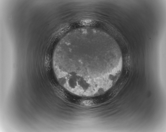 X0000103960653200810031205