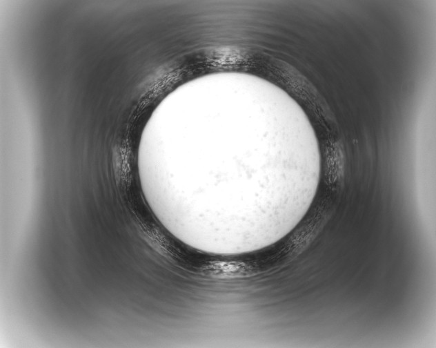 X0000103960654200810031205
