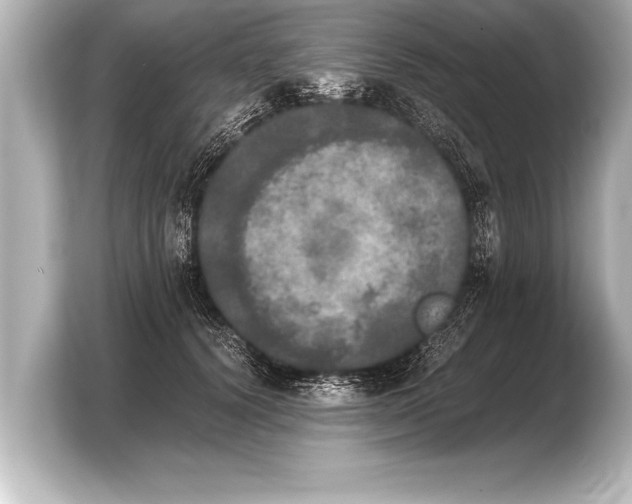 X0000103960656200810031205