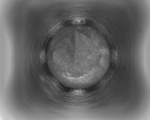 X0000103960659200810031205