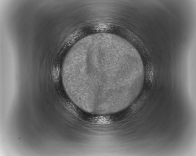 X0000103960660200810031205