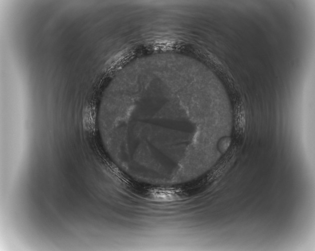 X0000103960661200810031205