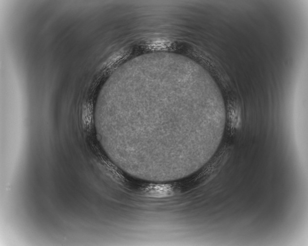 X0000103960665200810031205