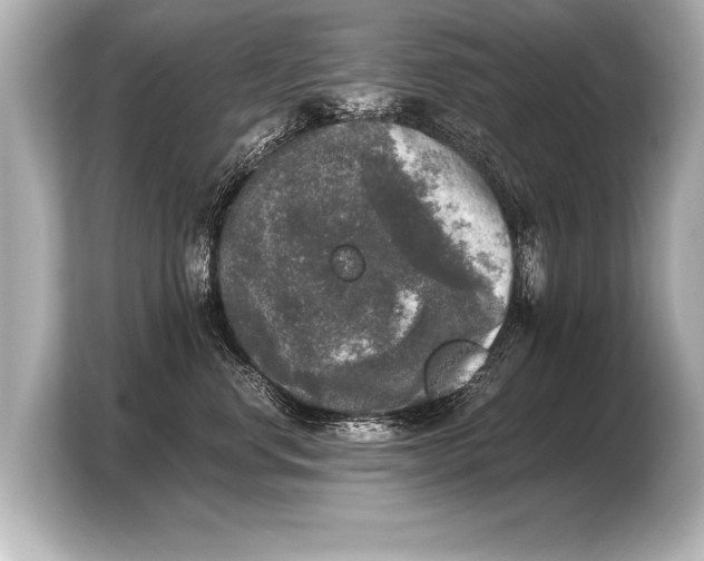 X0000103960668200810031205