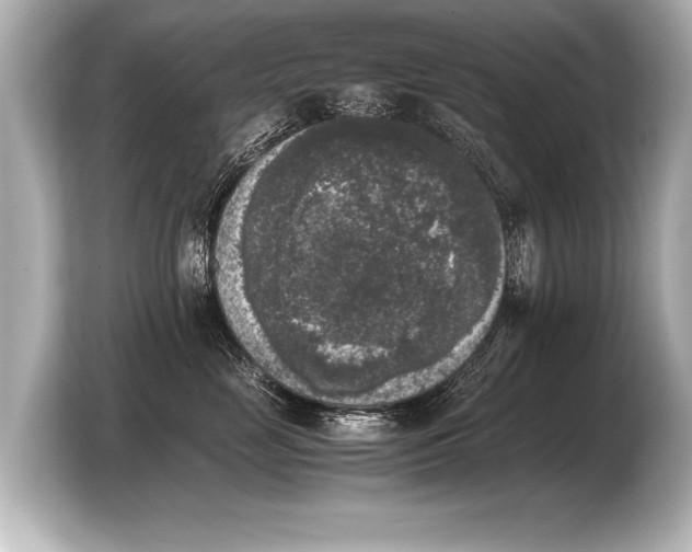 X0000103960669200810031205