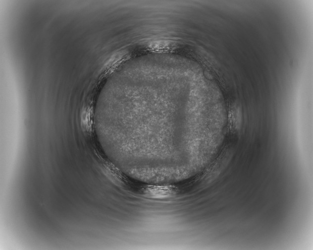 X0000103960671200810031205