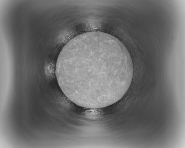 X0000103960672200810031205