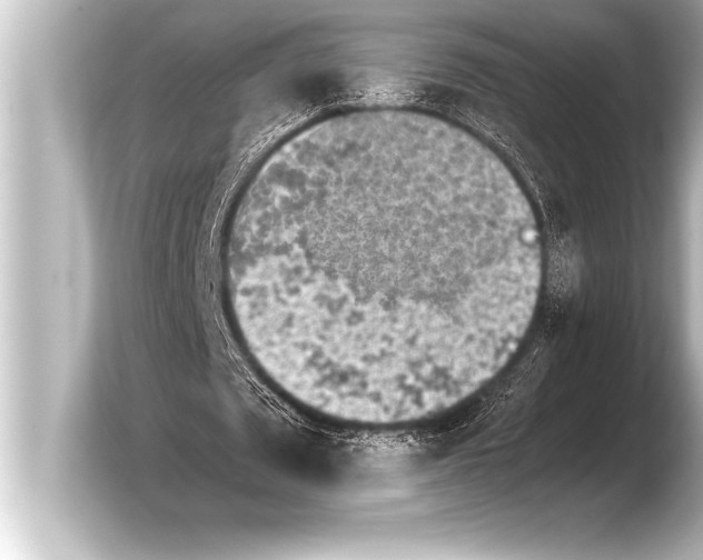 X0000103960673200810031205