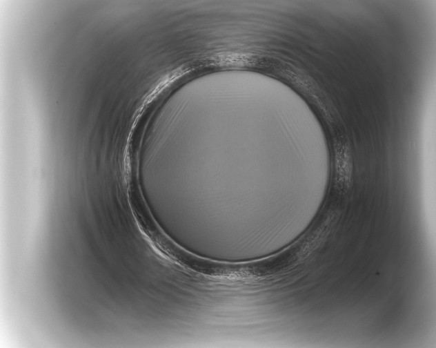 X0000103960674200810031205